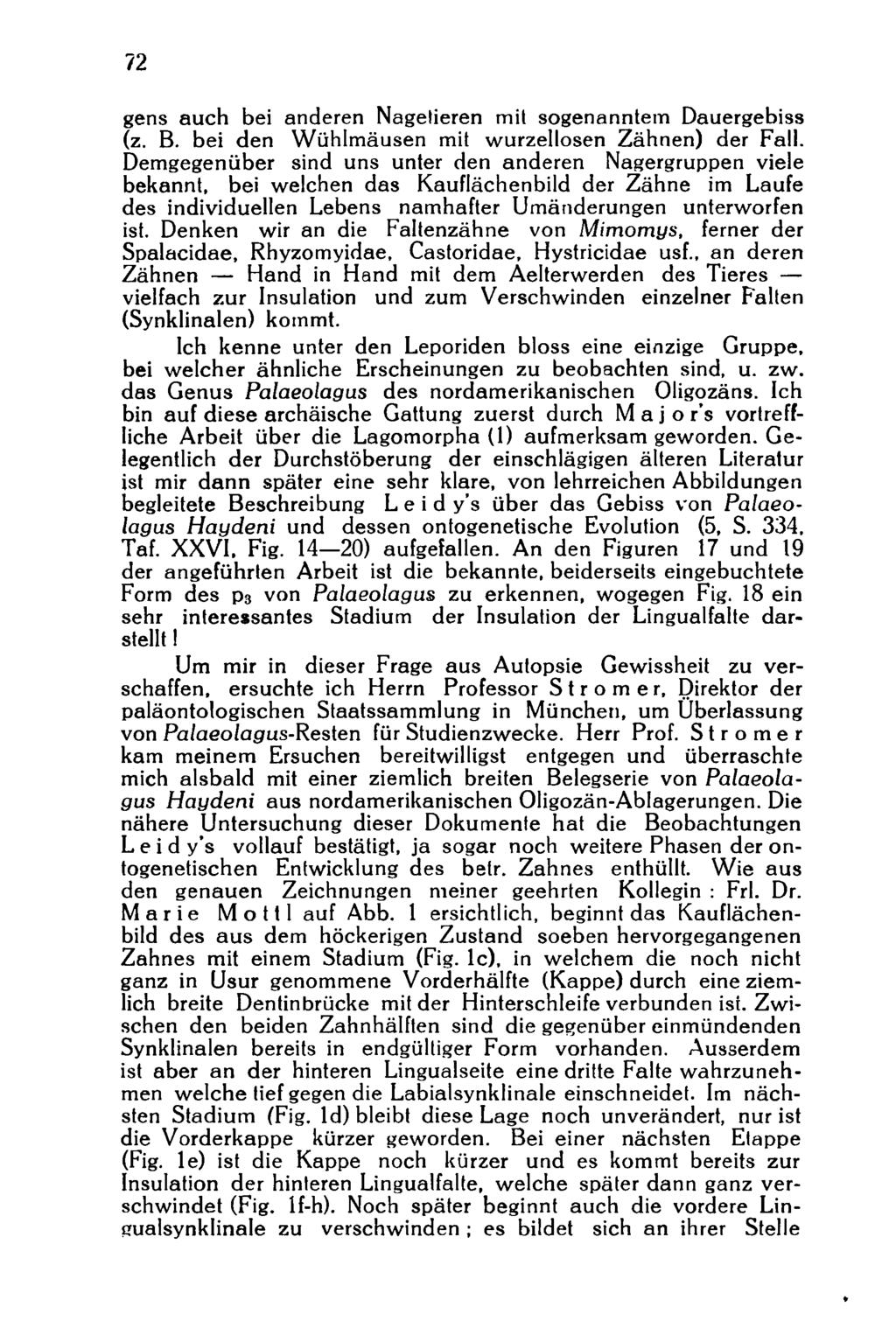 gens auch bei anderen Nagetieren mit sogenanntem Dauergebiss (z. B. bei den Wühlmäusen mit wurzellosen Zähnen) der Fall.