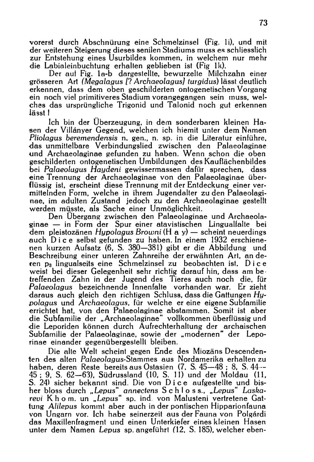 vorerst durch Abschnürung eine Schmelzinsel (Fig.