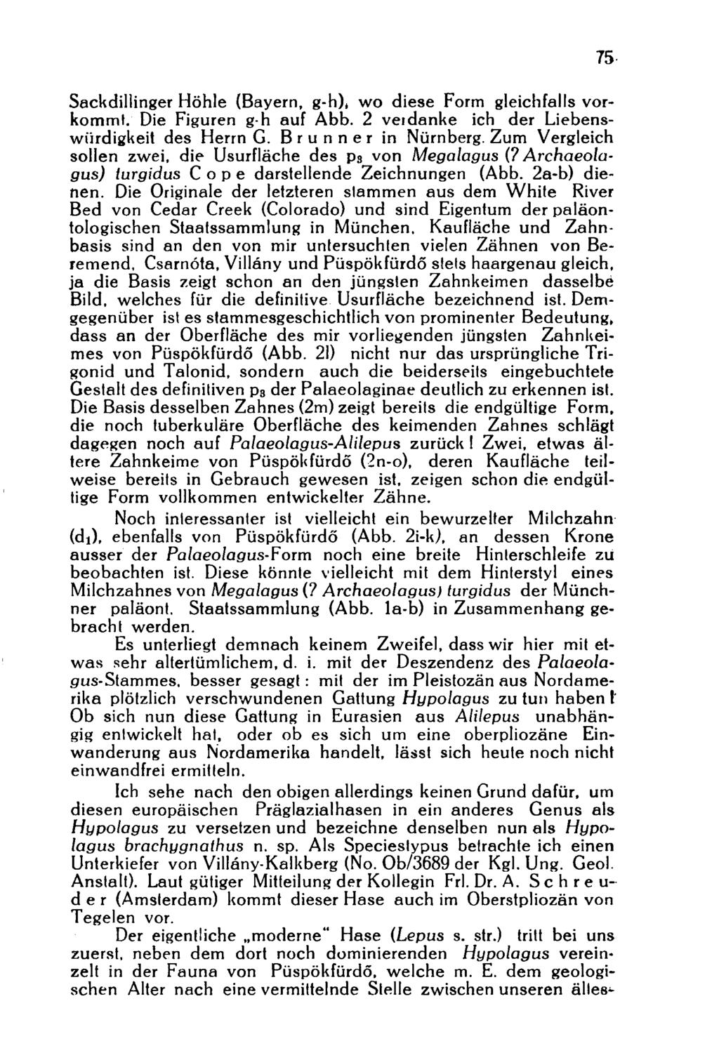 Sackdillinger Höhle (Bayern, g-h), wo diese Form gleichfalls vorkommt. Die Figuren g-h auf Abb. 2 verdanke ich der Liebenswürdigkeit des Herrn G. Brunner in Nürnberg.