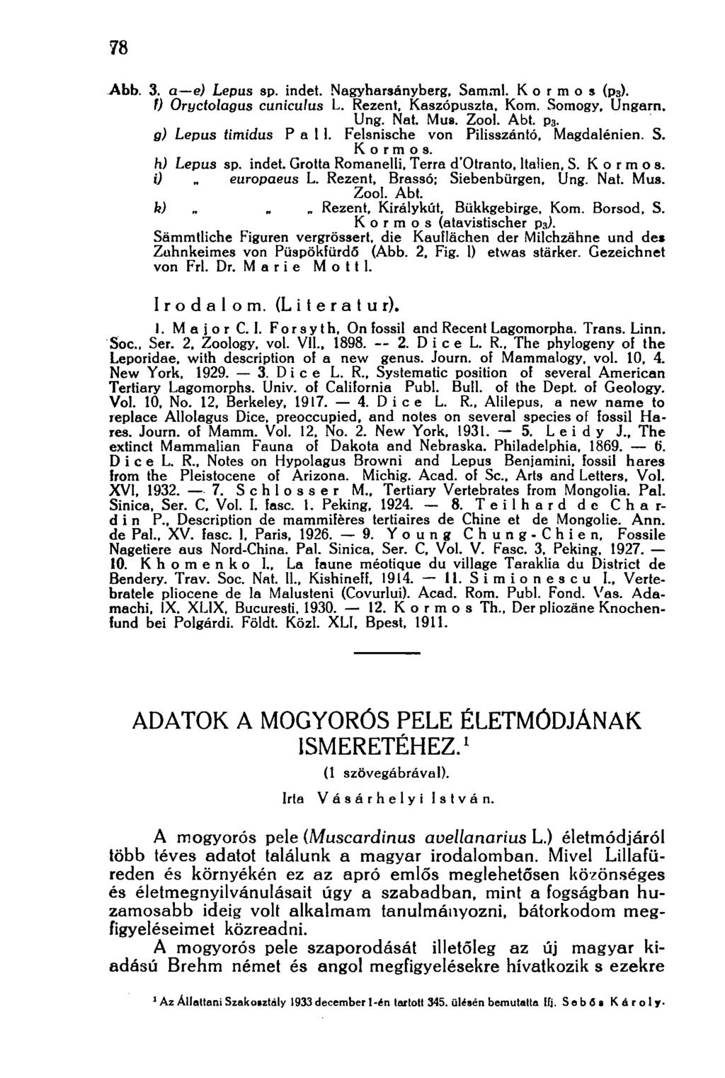 78 Abb. 3. a e) Lepus sp. indet. Nagyharsányberg, Samml. Kormos (рз). f) Oryctolagus cuniculus L. Rezent, Kaszópuszta, Kom. Somogy, Ungarn. Ung. Nat. Mus. Zool. Abt. рз. g) Lepus timid us Pall.
