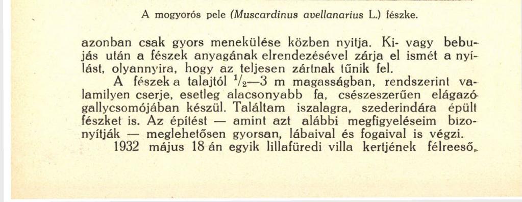 80 időjárás viszontagságainak is.