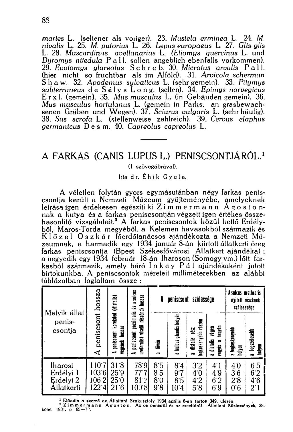 88 martes L. (sellener als voriger). 23. Mustela erminea L. 24. M. nivalis L. 25. M. putorius L. 26. Lepus europaeus L. 27. Glis glis L. 28. Muscardinus avellanarius L. (Eliomys quercinus L.