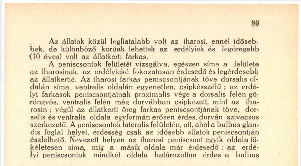 Nevezett helyen az iharosi peniscsont egyik oldala tökéletesen sima, míg a másik oldala már érdesedő ; az erdélyi peniscsontok mindkét oldala határozottan érdes a bulbus 89 1. ábra.