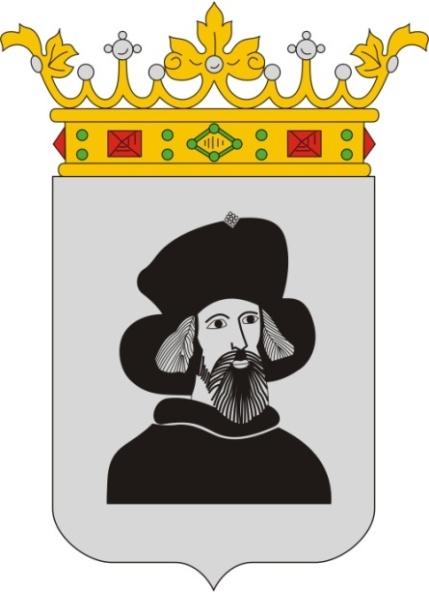 PÁSZTÓ PÁSZTÓ VÁOS ÖNKOÁNYZAT KÉPVISELŐ TESTÜLETÉNEK 1/218. (IX.27.) ÖNKOÁNYZATI ENDELETE A TELEPÜLÉSKÉP VÉDELÉŐL egbízó Pászó Város Önkormányz 36 Pászó, Kölcsey erenc u. 35.