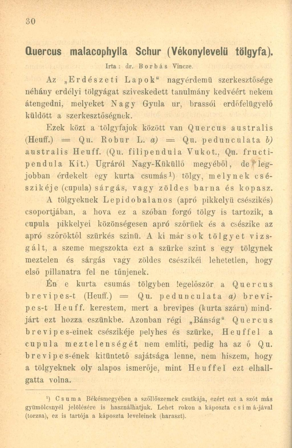 Quercus malacophylla Schur (Vékonylevelü tölgyfa). Irta : dr. Borbás Vincze.