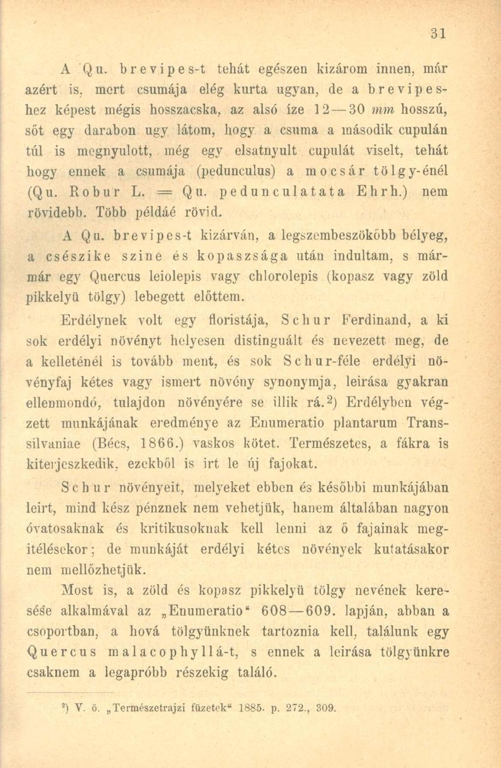 A Qu. brevipes-t tehát egészen kizárom innen, már azért is, mert csumája elég kurta ugyan, de a brevipeshez képest mégis hosszacska, az alsó íze 12 30 mm hosszú, sőt egy darabon ugy látom, hogy a