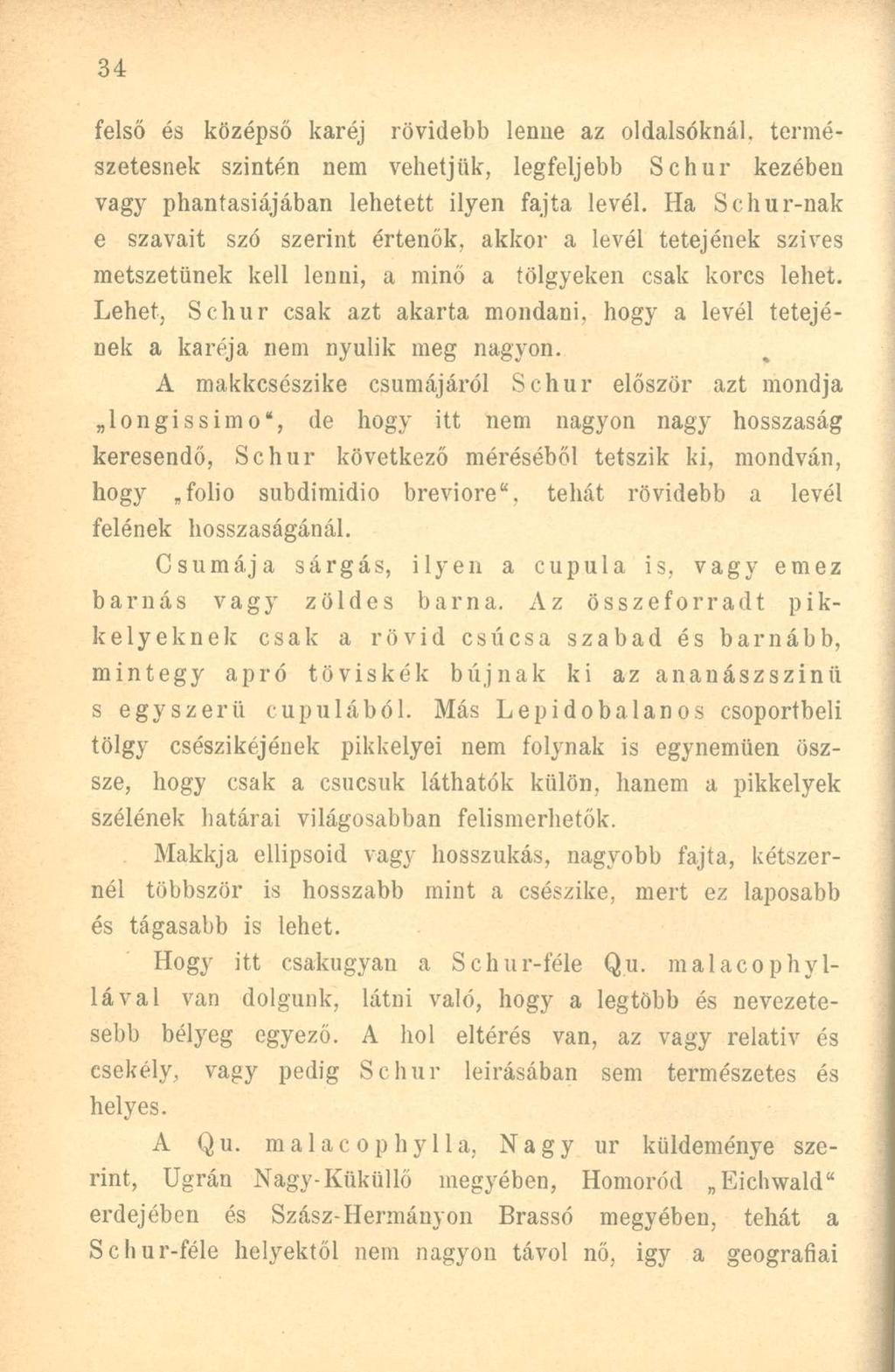 felső és középső karéj rövidebb lenne az oldalsóknál, természetesnek szintén nem vehetjük, legfeljebb Schur kezében vagy phantasiájában lehetett ilyen fajta levél.