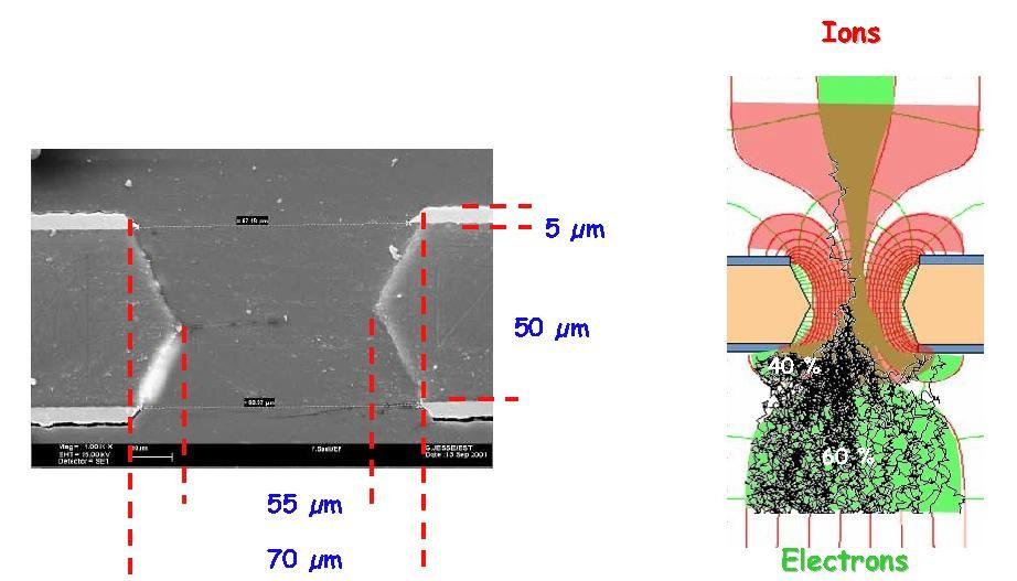 Gas Electron Multiplier (GEM, F.