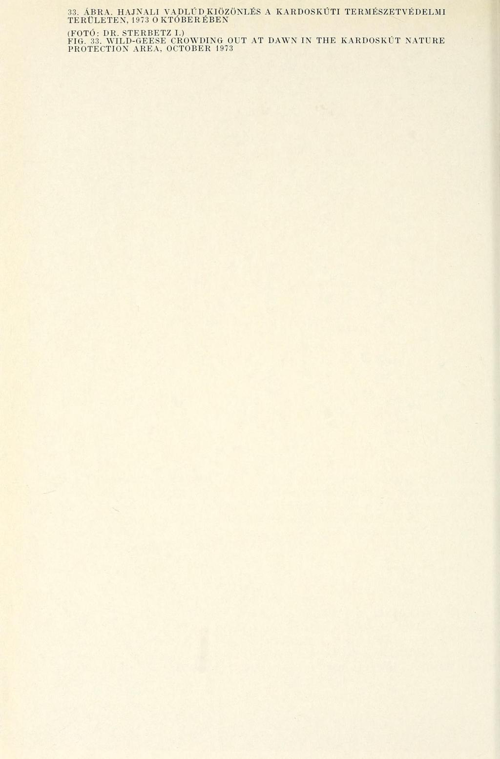 33. ÁBRA. HAJNALI VADLÚD KIÖZÖNLÉS A KARDOSKÚTI TERMÉSZETVÉDELMI TERÜLETEN, 1973 0 KTÓBERÉBEN (FOTÓ: DR.