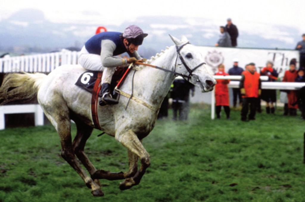 Gold Cup - Desert Orchid - Cheltenham, 1989. március 16. 1. Desert Orchid 2. Yahoo 3.