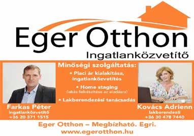 HU (+36 1) 477-8800 ELADÓ ÜZLETHÁZ ÉS RAKTÁR Volt épületgépészeti áruház két