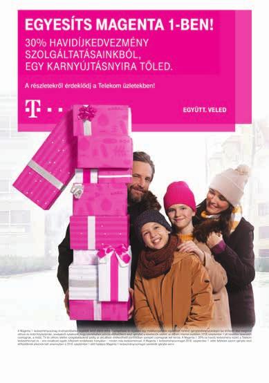 Térerő 2000 Kft. (Tesco) Eger, Törvényház utca 4.