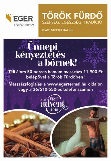Régió központi területén (TOP-1.2.1-16-HE1-2017-00012) Az Agria Térségfejlesztési Nonprofit Kft. 2016-ban alakult, elsősorban Eger környéke TOP-os projektjeinek fejlesztése és menedzselése céljából.