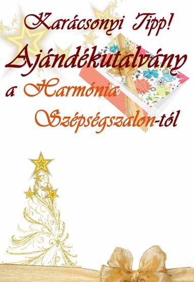 gyermeket egyedül nevelő felnőtt foglalkoztatást helyettesítő támogatásban részesülő több hónapja állás nélkül megváltozott munkaképességű roma nemzetiséghez tartozó inaktív (nincs munkaviszonya, nem