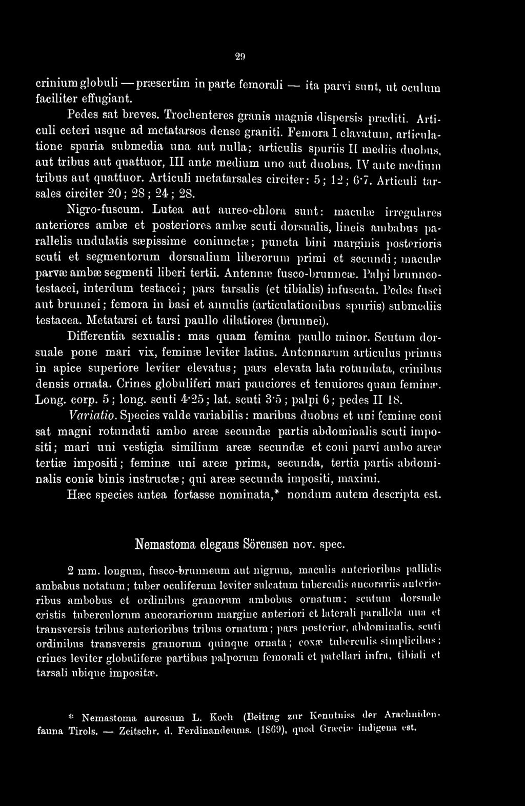 2!» criniumglobuli prassertim in parte femorali ita parvi sunt, ut oculum faciliter effugiant. Pedes sat breves. Trochenteres granis magnis dispersis prœditi.