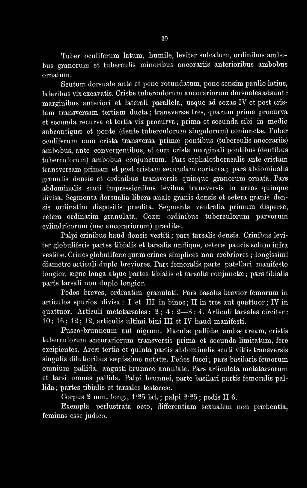 Cristas tuberculorum ancorariorum dorsuales adsunt : marginibus anteriori et laterali parallela, usque ad coxas IV et post cristam transversam tertiam ducta ; transversa?
