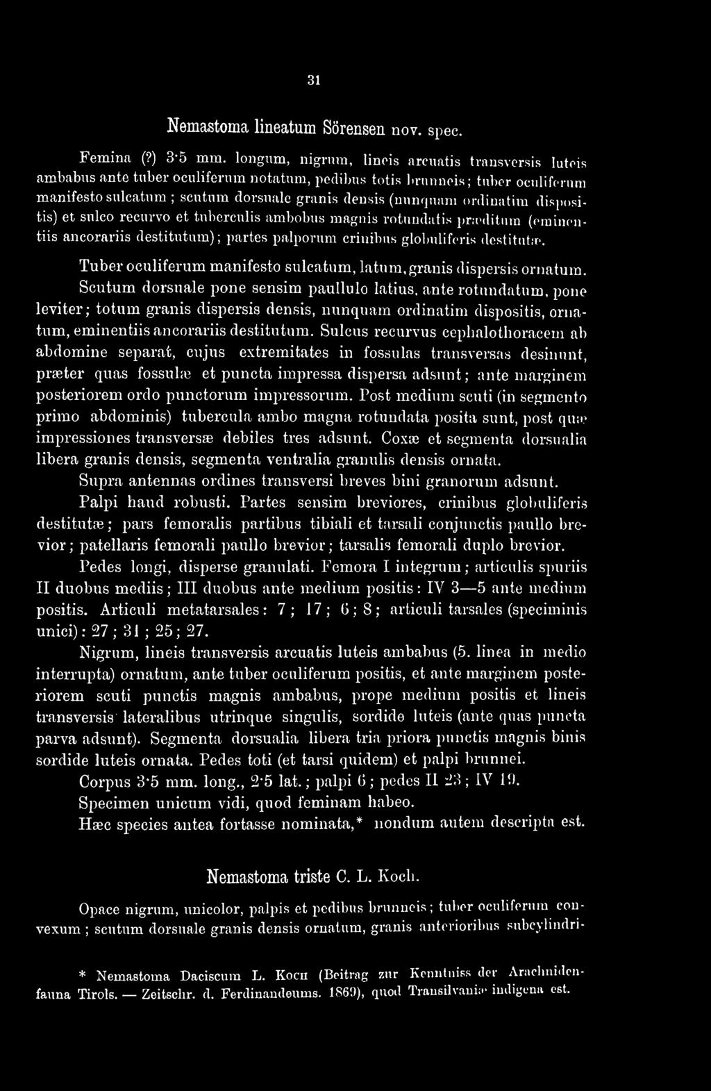 ordinatim 'I tis) et sulco recurvo et tuberculis ambobua magnis iotundatia prœditum (eminentiis ancorariis destitutum); partes palporum crinibus globuliferia deatitutœ.