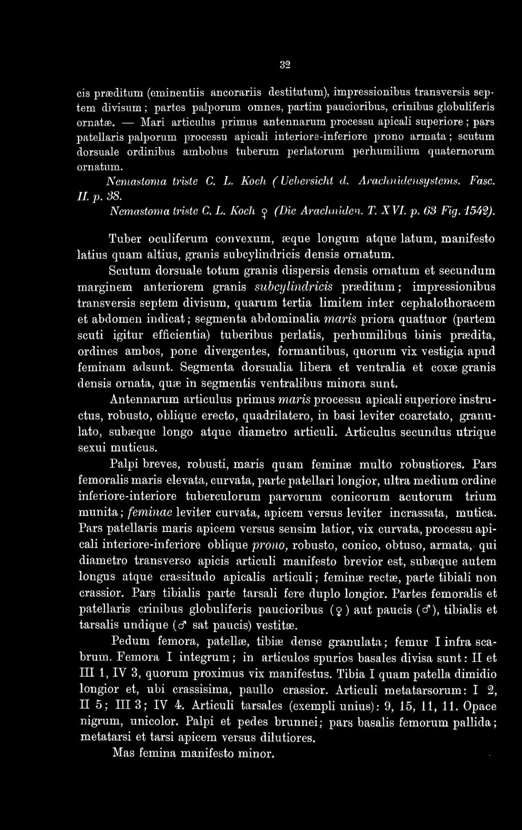 perhumilium quaternorum ornatum. Nemastoma triste C. L. Koch ( liebersieht d. Arachnidensystems. Fase. IL p. 38. Nemastoma triste C. L. Koch <j (Die Ärachniden. T. XVI. p. 63 Fig. 154%).
