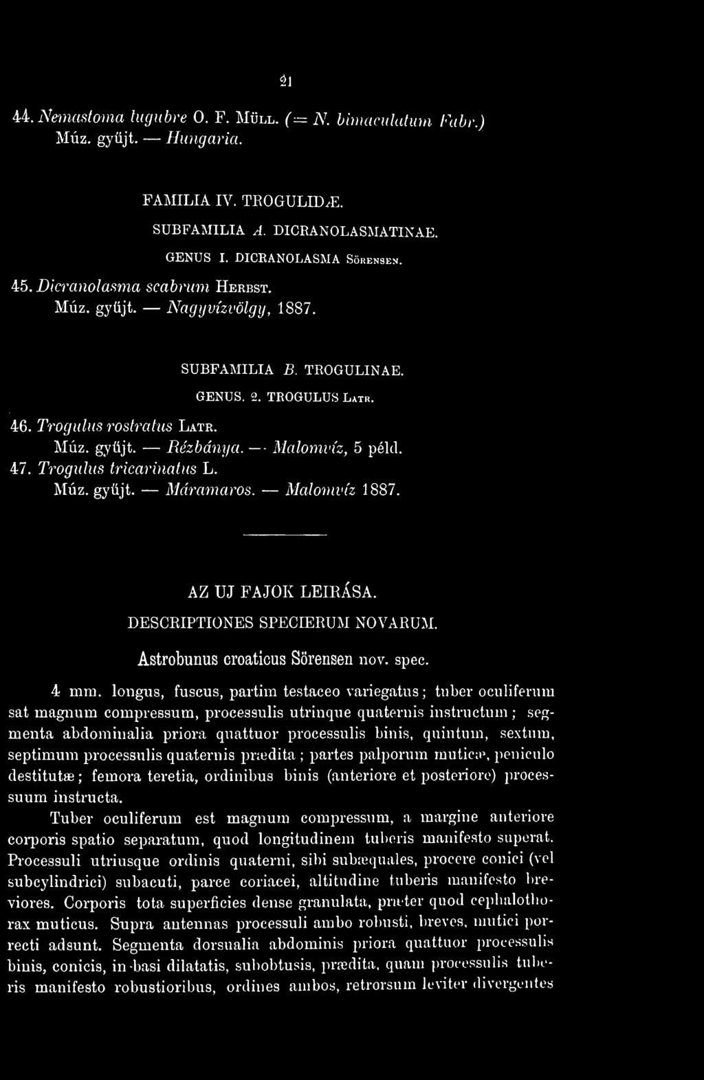 ai 44. Nemastoma lugubre 0. F. Müll. (= N. bimaculatum Fabr.) Múz. gyjt. Hungária. FAMÍLIA IV. TROGULID^E. SUBFAMILIA A. DICRANOLASMATI \ A I.. GENUS I. DICRANOLASMA Sörensen. 45.