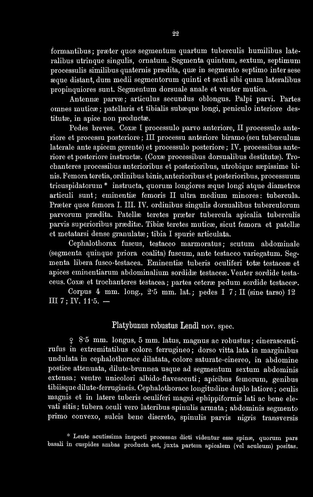 propinquiores sunt. Segmentum dorsuale anale et venter mutica. Antennas parvae; articulus secundus oblongus. Palpi parvi.