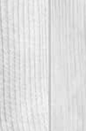 FROSTA TAGLIATELLE