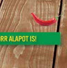 KNORR CSALÁDI ÉS 00% TERMÉSZETES ALAP 89
