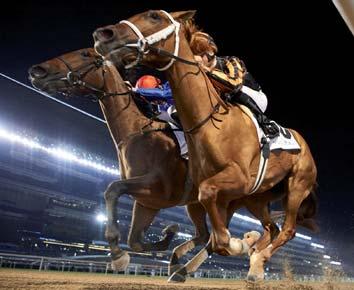 A nap végén a Godolphin négy elsőségig jutott, a trénerek közül Saeed Bin Suroor és Charlie Appleby 2-2 db sikert könyvelhetett el, míg a krekklovasok testvériesen megosztoztak, mindenki 1-1 trófeát