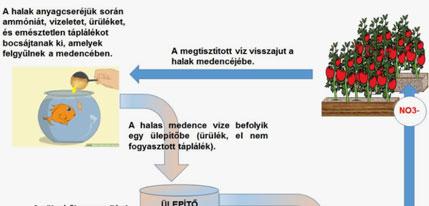 Ebben a rendszerben az anyagkörforgás az alábbi módon szemléltethető: A rendszer működésének vázlata Forrásanyag 1.