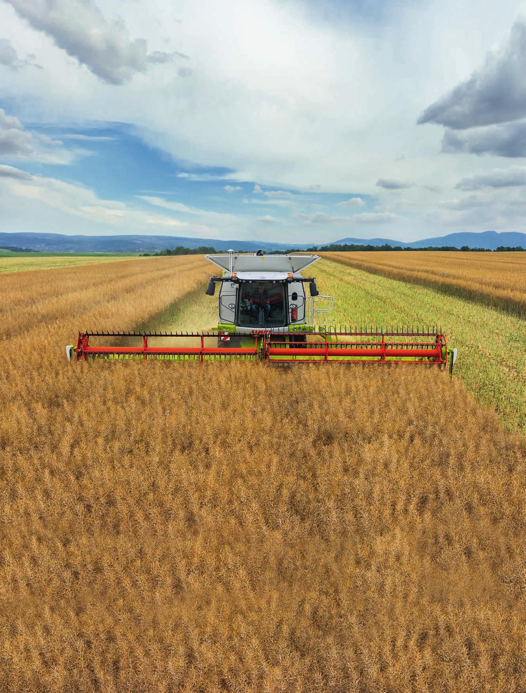 VÁGÓASZTALOK 12 agritech CONVIO FLEX EGY SZALAGGAL MINDEN TERMÉNYHEZ AZ ÚJ CONVIO FLEX ÉS CONVIO SZALAGOS VÁGÓASZTALOK A LEXION OKHOZ 10,8, 12,3 ÉS 13,8 MÉTERES MUNKASZÉLESSÉGBEN ÉRHETŐK EL.