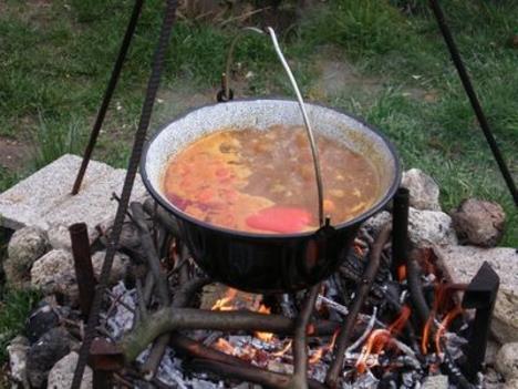 Berzéte község Önkormányzata szeretettel hívja a falunkban működő szervezeteket, családokat, vagy baráti társaságokat a II.Gulyásfőző versenyre 2017 július 29.
