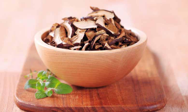 GOMBAFAJTÁK Ajánlatunk a gombák széles választékát kínálja a hagyományos házi konyhához, valamint az egzotikus ázsiai gombákhoz is.