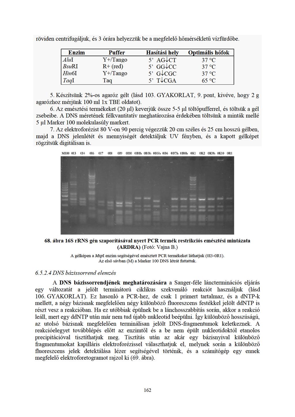 KLASSZIKUS ÉS MOLEKULÁRIS MIKROBIOLÓGIAI LABORATÓRIUMI GYAKORLATOK - PDF  Ingyenes letöltés