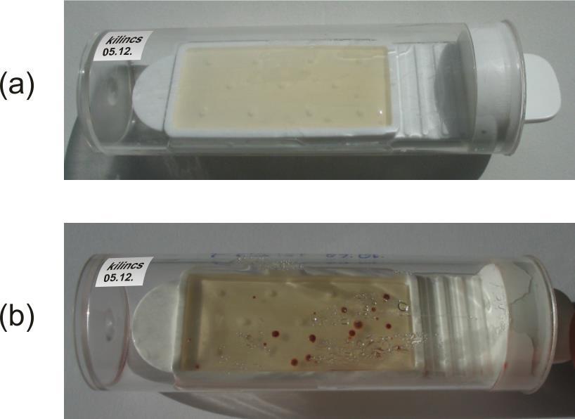 Tárgyakról, felületekről steril nedves vattatamponos törléssel, vagy speciális lenyomati mintavevőkkel (Contact Slide lemezek, Dip-Slide lemezek) (10.