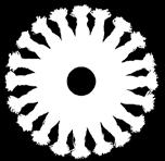 900599024102 ULTRA körkefe D 125 mm, 50 AZD, extra