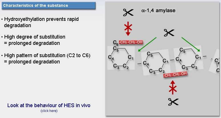 Hidroietil keményítő Az amiláz