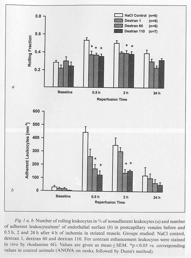 Detrán és a leukocyta-endothel sejt interakció Steinbauer M et. al., Prog.