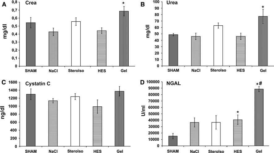 Neutrophil Gelatinase Associated Lipocalin (NGAL) = a marker of kidney damage Schick MA et al.