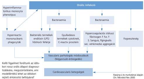 közeget is eredményezhető, részben akár rejtetten perzisztáló idült gyulladásos, fertőző mikrobákat tartalmazó góccsoportok kiiktatására.