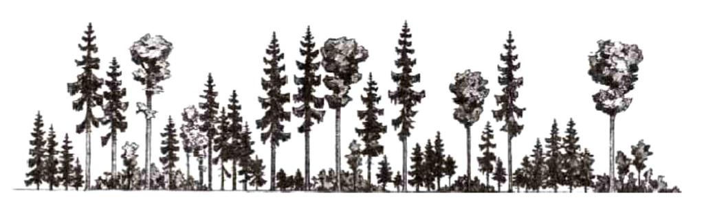 2. Szakirodalmi feldolgozás 2.1. A természetszerű erdőgazdálkodás aktuális kérdései A természetszerű erdők kezelése a tervszerű erdőgazdálkodás megkezdése óta folyamatosan kérdéseket vet fel.