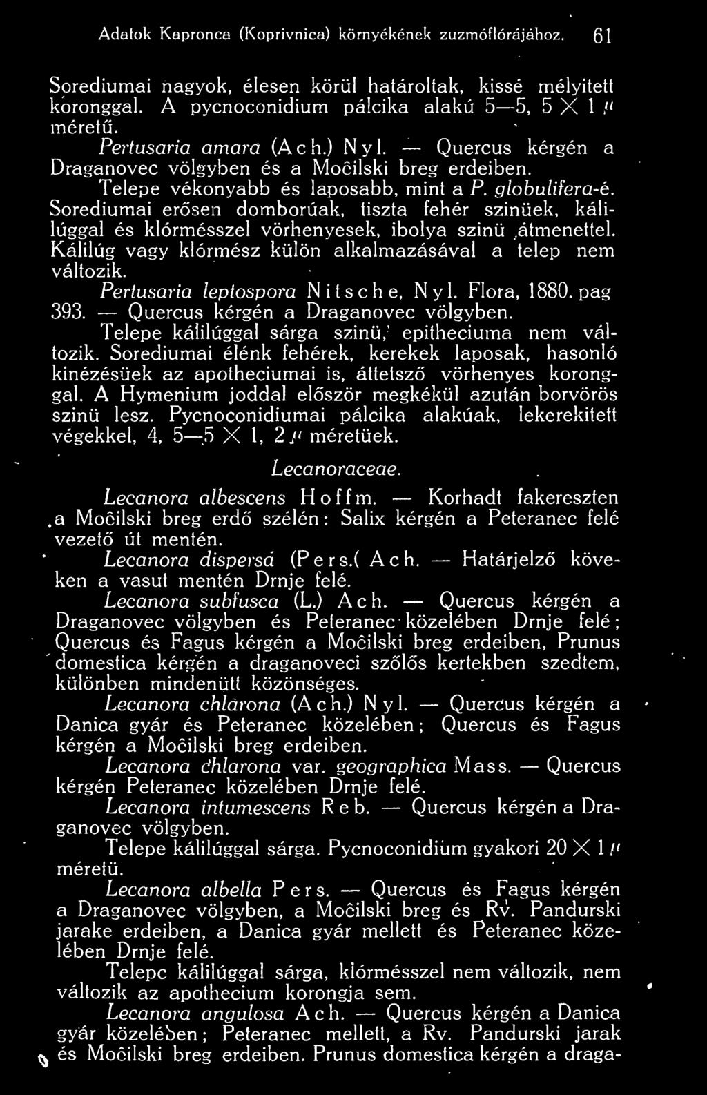 Sorediumai ersen domborúak, tiszta fehér szinüek, kálilúggal és klórmésszel vörhenyesek, ibolya szinü átmenettel. Kálilúg vagy klórmész külön alkalmazásával a telep nem változik.