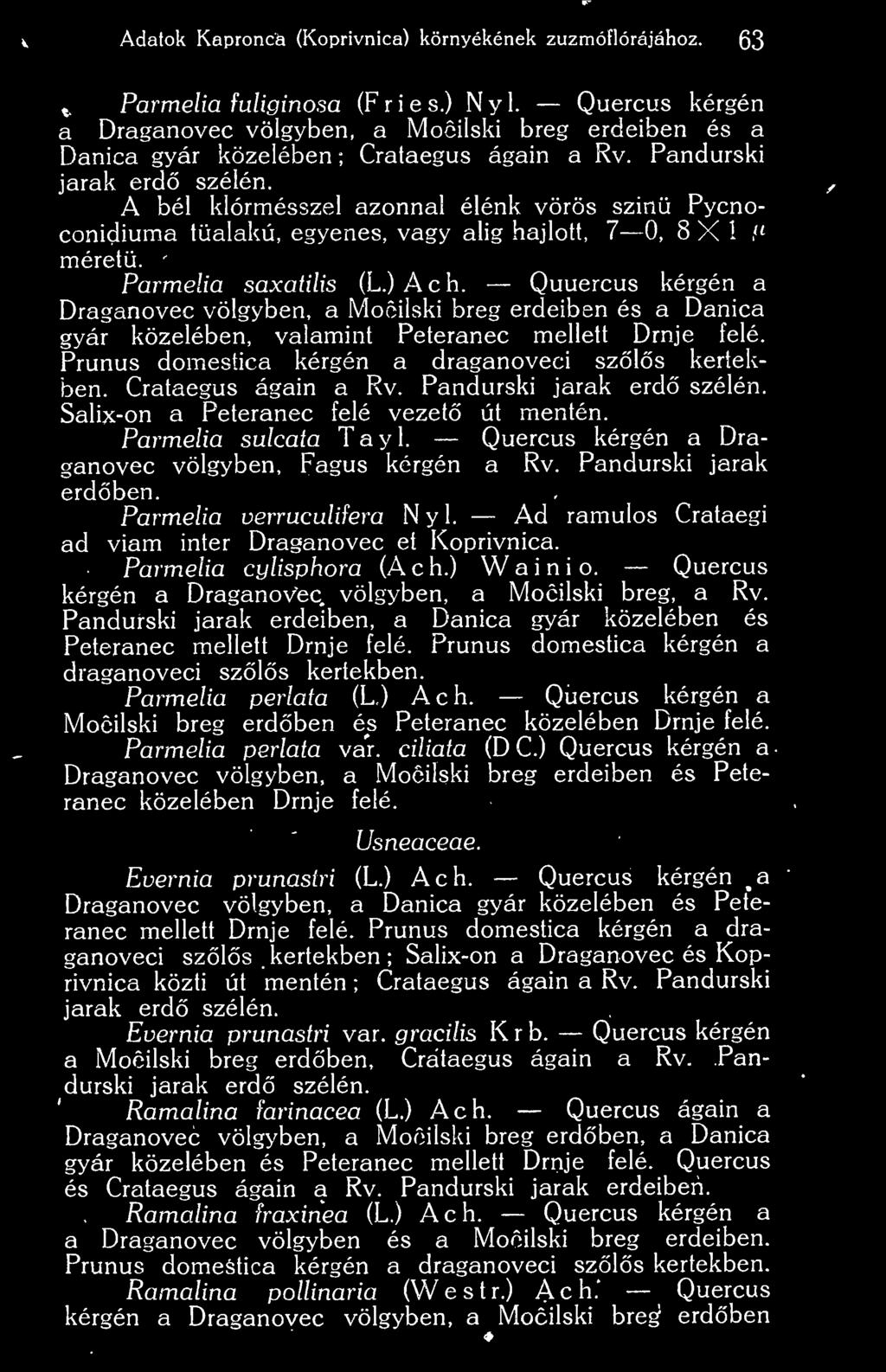 A bél klórmésszel azonnal élénk vörös szinü Pycnoconidiuma tüalakú, egyenes, vagy alig hajlott, 7 0, 8 X 1." méret. Parmelia saxatüis (L.)Ach.
