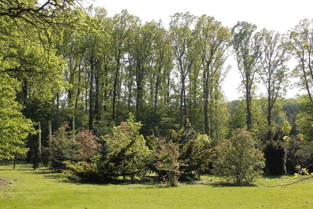 A vidék valamennyi fa- és cserjefaját összegyűjtötték a Csácsbozsoki Arborétumban Zalaegerszeg Csácsbozsok városrészében, a központtól körülbelül 4 kilométerre fekvő 83 hektáros védett területen Zala