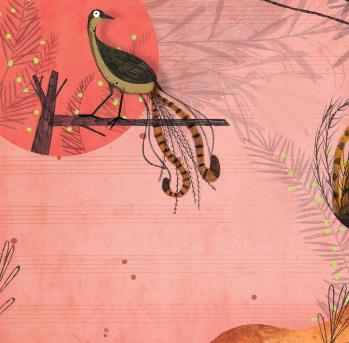 POMPÁS LANTFARKÚ MADÁR A lantfarkú madarak Ausztrália esőerdőinek talajszintjén élnek. Nevüket gyönyőrű farktollukról kapták, amely egy lanthoz hasonlít.