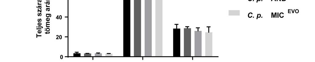 12. ábra: A C. parapsilosis CLIB 214, CAS EVO, AND EVO és MIC EVO törzsek sejtfal összetétele és szerkezetének változásai.