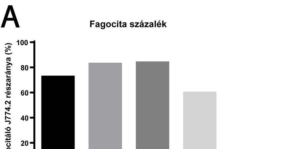 16. ábra: A J774.2 makrofágok C. parapsilosis CLIB 214, FLU EVO, VOR EVO és POS EVO törzsekkel szembeni fagocitózis hatékonysága. (A) A J774.