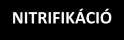 NITROGÉNFORMÁK ÁTMENETE NH 4 -N AMMÓNIA