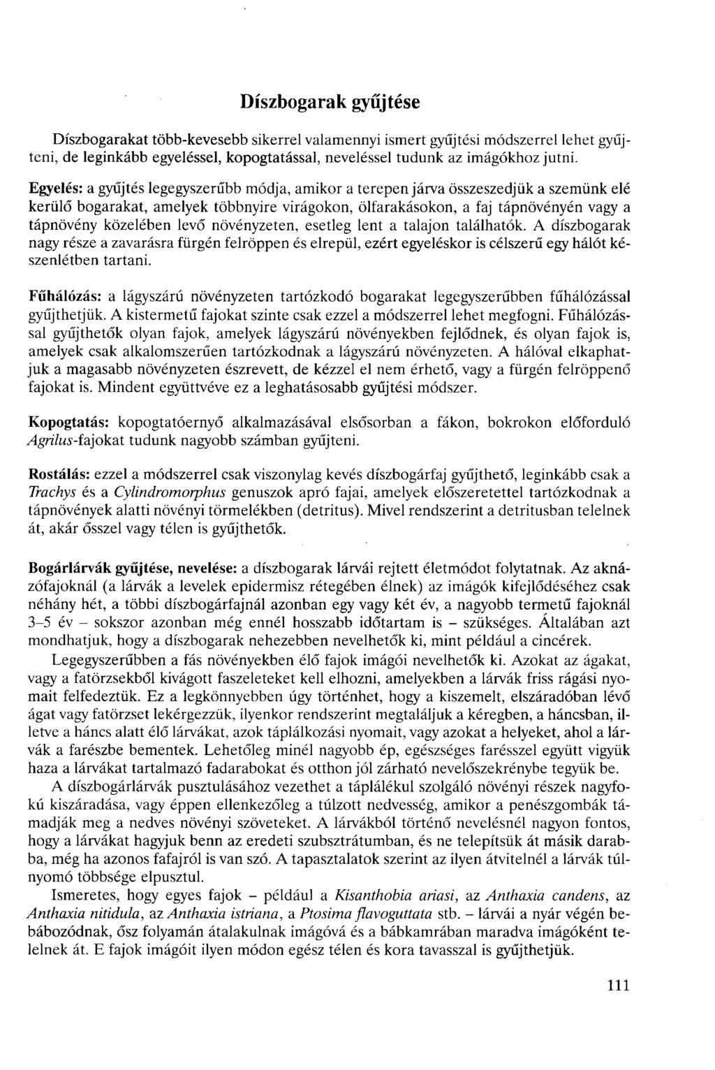 Díszbogarak gyűjtése Díszbogarakat több-kevesebb sikerrel valamennyi ismert gyűjtési módszerrel lehet gyűjteni, de leginkább egyeléssel, kopogtatással, neveléssel tudunk az imágókhoz jutni.