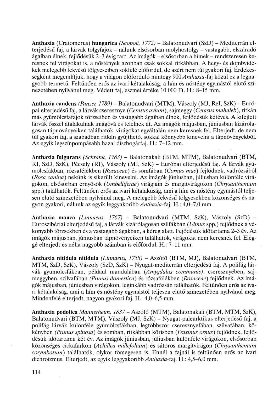 Anthaxia (Cratomerus) hungaria (Sopoli, 772) - Balatonudvari (SzD) - Mediterrán elterjedésű faj, a lárvák tölgyfajok - nálunk elsősorban molyhostölgy - vastagabb, elszáradó ágaiban élnek, fejlődésük