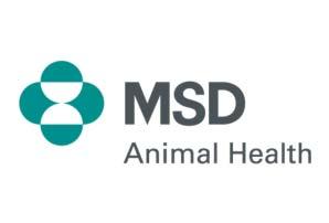 Bevezetés 1. Európa számos országában igény a mentesítésre a bovine herpesvirus 1-es típusa (BHV-1) és a bovine viral diarrhoea vírusa (BVDV) ellen 2.