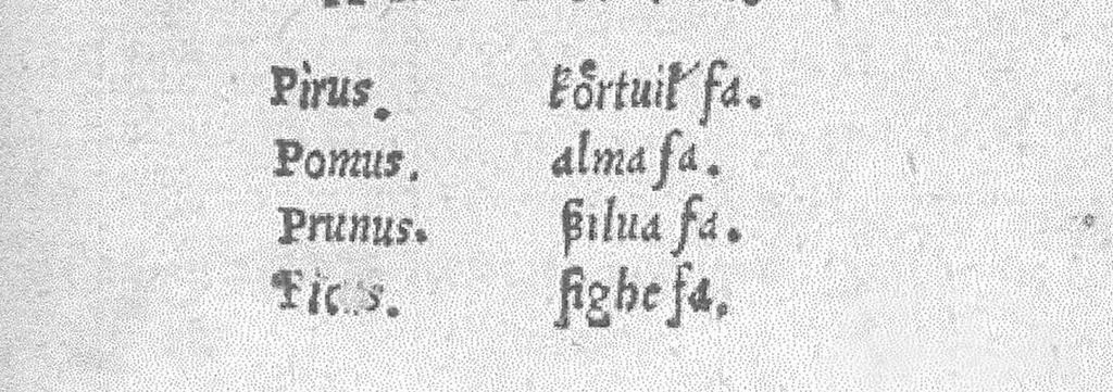 Bartók István: A Grammatica Hungarolatina (1539) szaknyelvi jelentősége sokáig kizárólag latin magyarázatok kísérték.